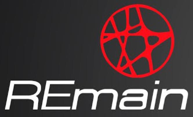 Remain диски логотип